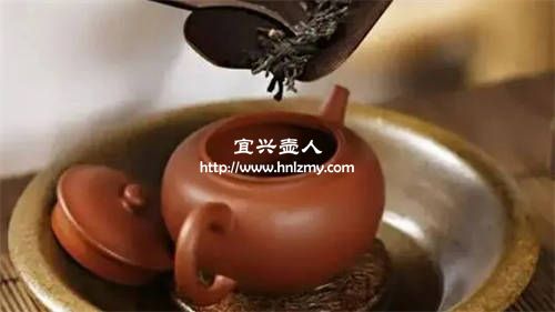 普洱生茶用什么泥料的紫砂壺泡好