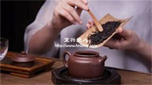 一個人喝熟普用多大容量的壺適合