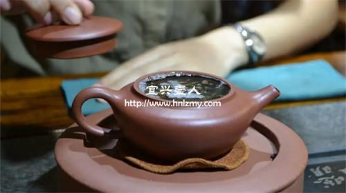 白茶和生普洱能用一個紫砂壺嗎