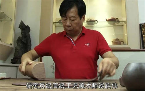 談躍偉個(gè)人簡(jiǎn)介